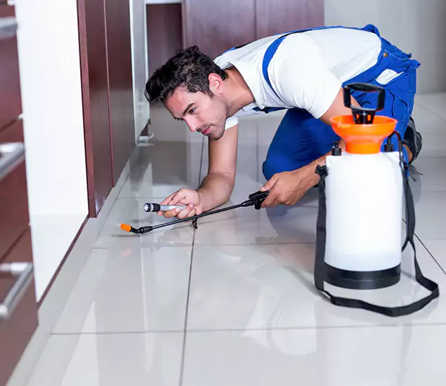 Advanced Slab Termite Treatment Experts You Can Trust&nbsp;in Wayne, NJ