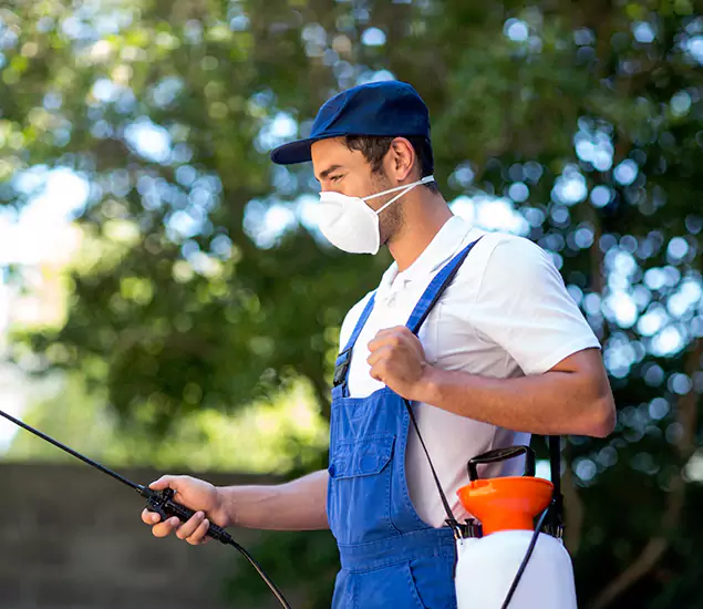 Advanced Soil Termite Treatment Experts in Wayne, NJ