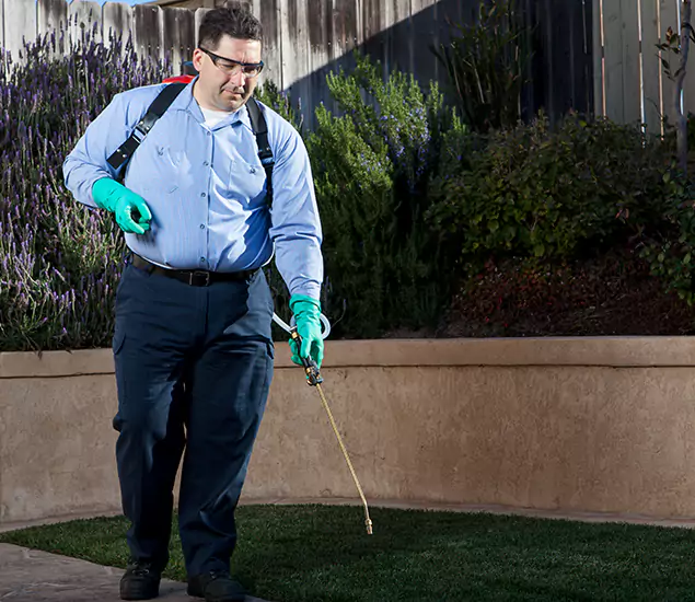 Reliable Termite Barrier Treatment Experts in Wayne, NJ