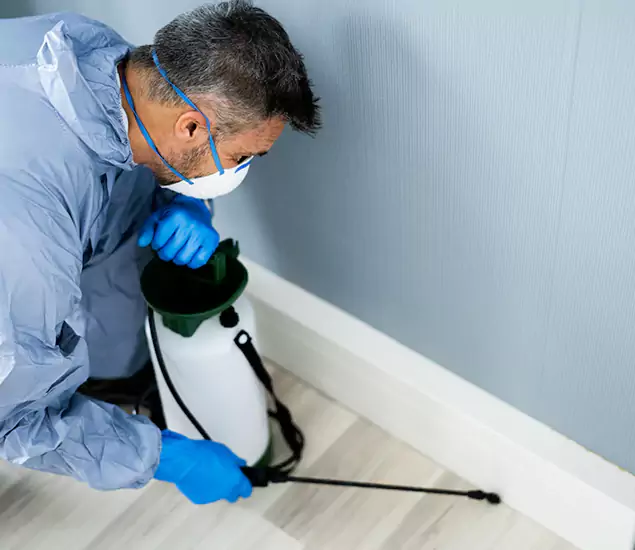 Reliable Termite Cost Experts in Wayne, NJ
