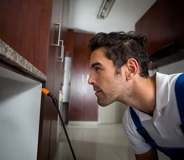 Termite Inspection Cost Experts You Can Trust in Wayne, NJ