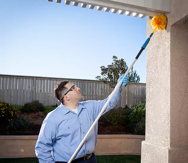 Your Trusted Wasp Removal Company in Wayne, NJ