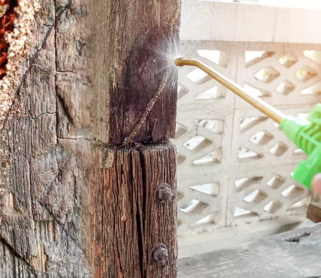 About Wood Termite Treatment Services in Wayne, NJ