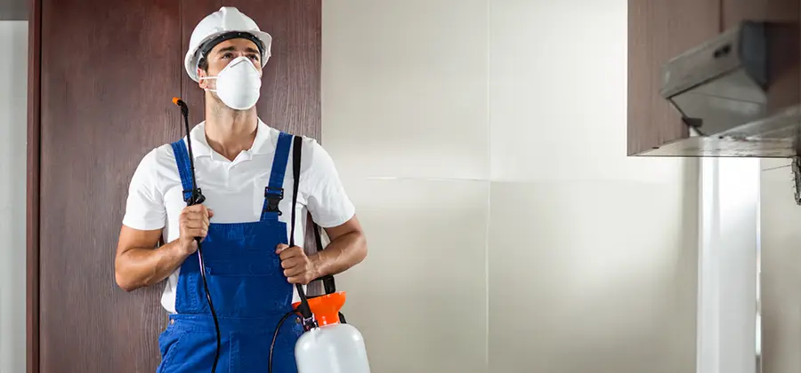 Per Room Bed Bug Cost in Wayne