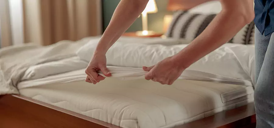 Bed Bug Extermination Services in Wayne