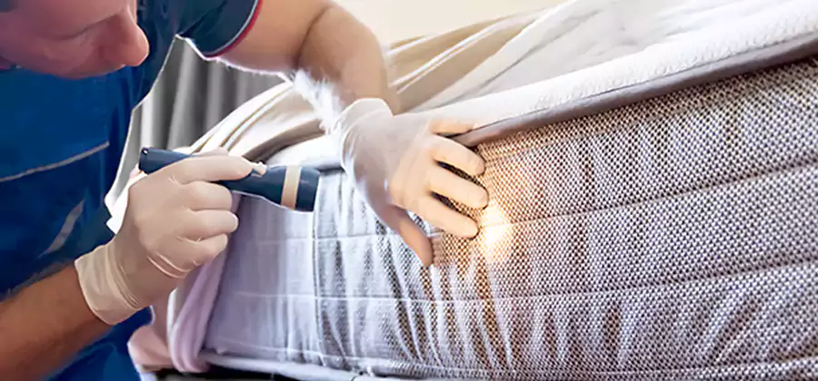 Residential Bed Bug Treatment Cost in Wayne