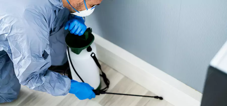 Fumigate Apartment Roaches in Wayne