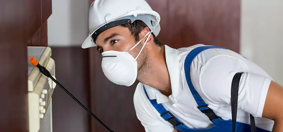 Injection Foam Treatment for Drywood Termites in Wayne