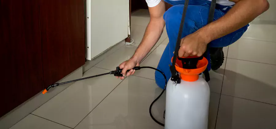 Indoor Mosquito Treatment in Wayne