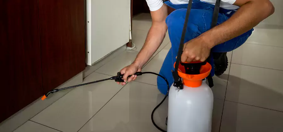 Indoor Insect Killer Solutions in Wayne