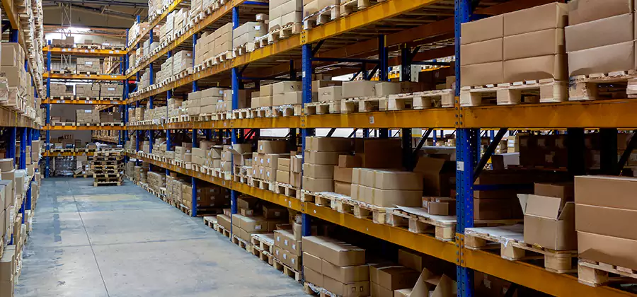 Warehouse Pest Control in Wayne
