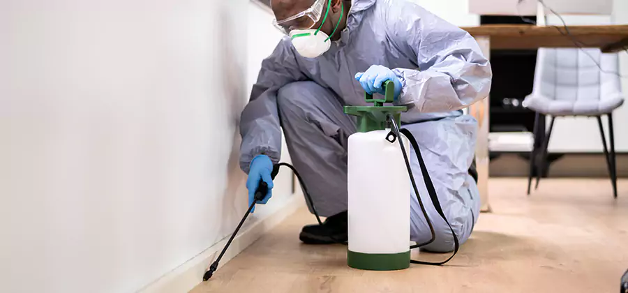 Long Lasting Mosquito Treatment in Wayne