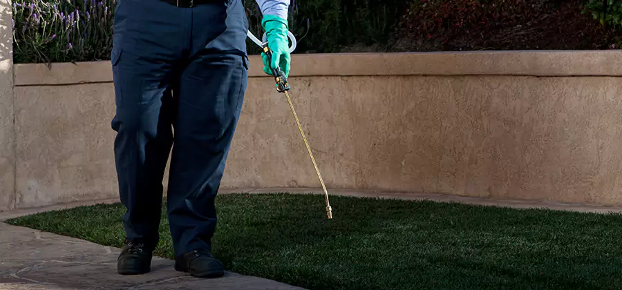 Soil Treatment for New Construction Termites in Wayne