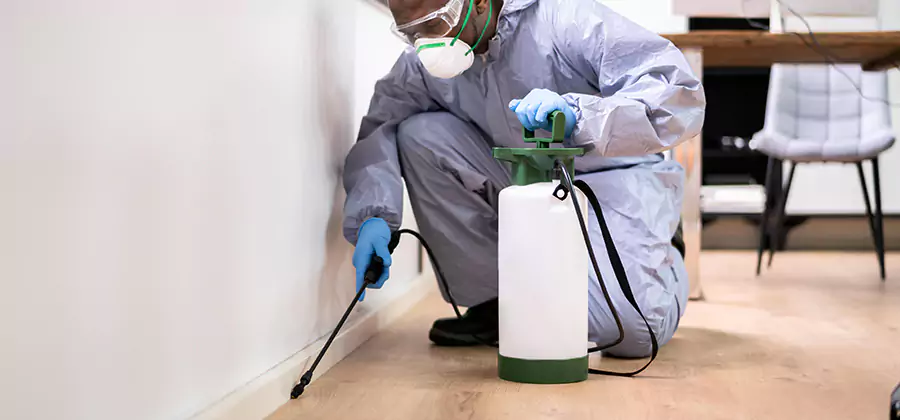 No Tent Termite Extermination With Electric Tool in Wayne