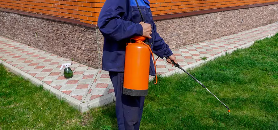 Non Toxic Termite Treatment in Wayne