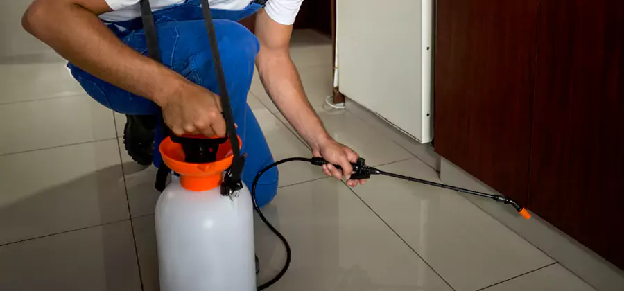 One Time Termite Control in Wayne