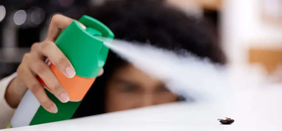 Child Safe Bed Bug Treatment in Wayne