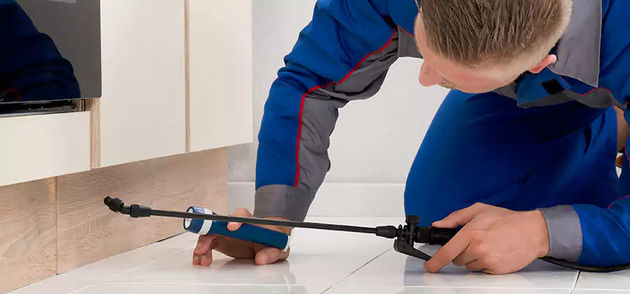 Moisture Treatment For Termite Control Service in Wayne