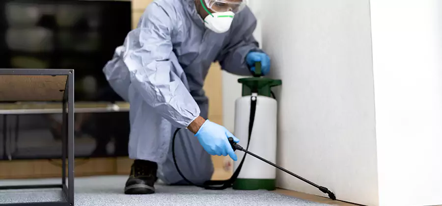 Wood Protection Termite Treatment in Wayne