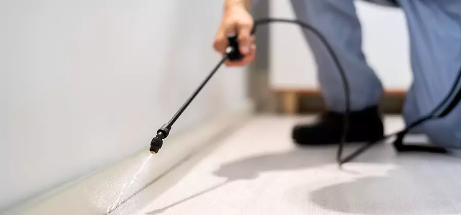 Direct Termite Injection Treatment in Wayne