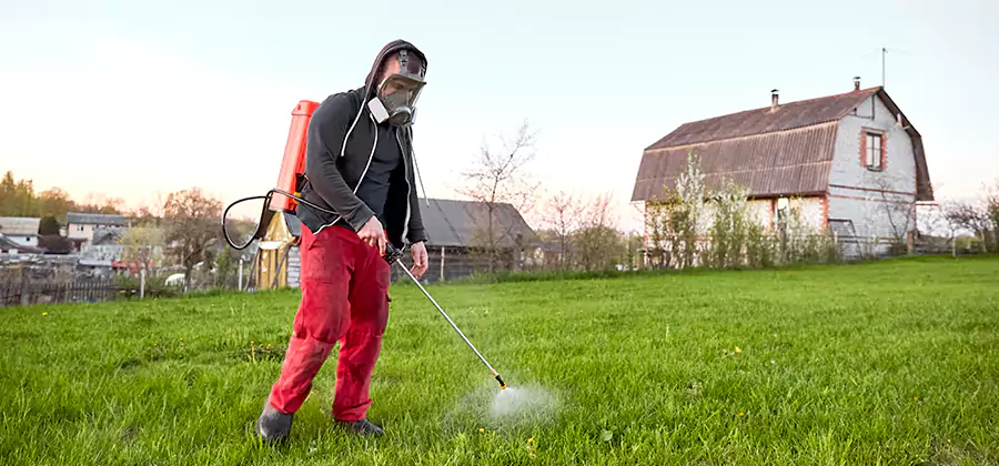 Flea and Tick Pest Control in Wayne
