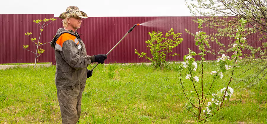 Flea and Tick Spray for Yard in Wayne