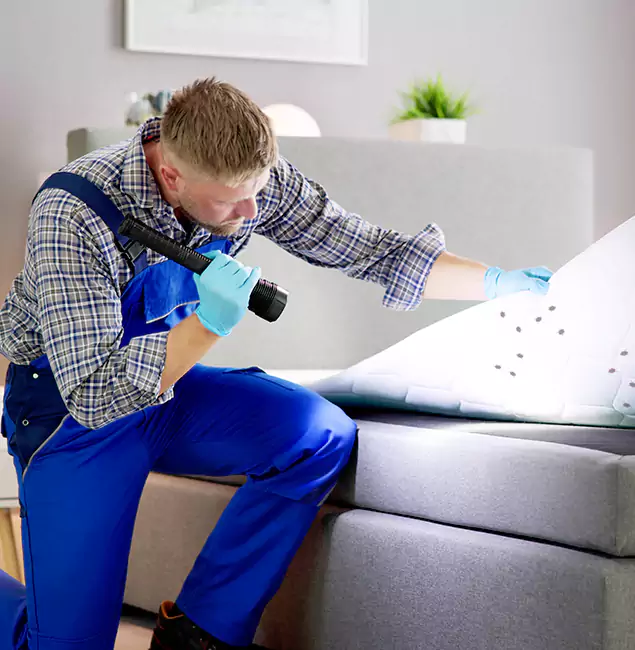 Why Choose Wayne Pest Control Pro for Bed Bug Exterminator Cost in Wayne, NJ?