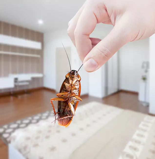 Why Wayne Pest Control Pro Stand Out for Bed Bug Fumigation in Wayne, NJ?