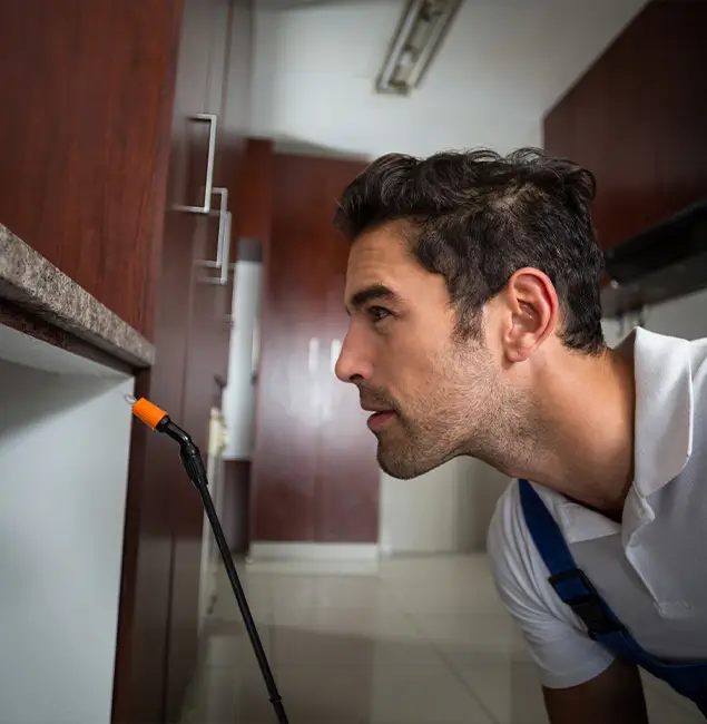 Why Choose Wayne Pest Control Pro for Bed Bug Removal Cost in Wayne, NJ?