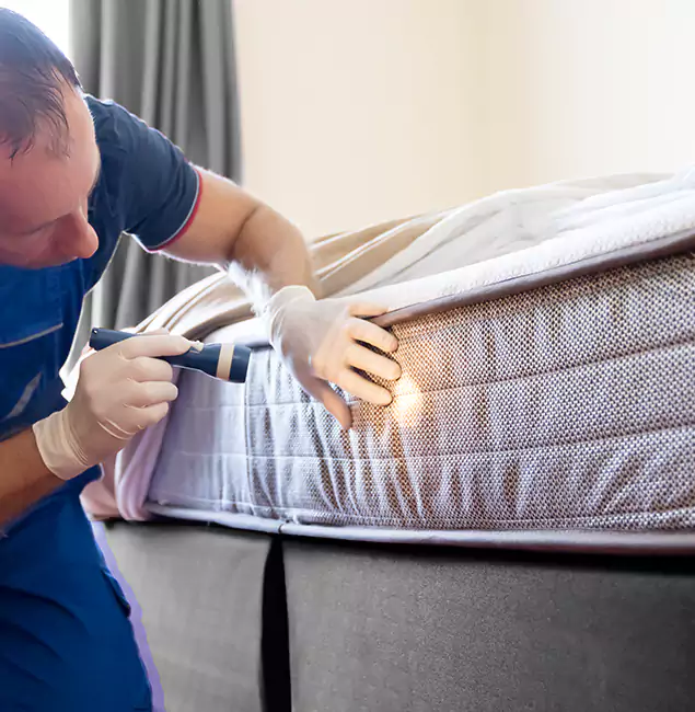 Why Choose Wayne Pest Control Pro for Bed Bug Services in Wayne, NJ?