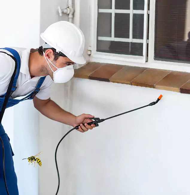 Why Wayne Property Owners Choose Wayne Pest Control Pro for Bee Nest Removal?