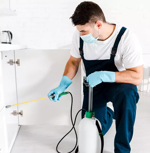 Why Choose Wayne Pest Control Pro for Emergency Pest Control in Wayne?