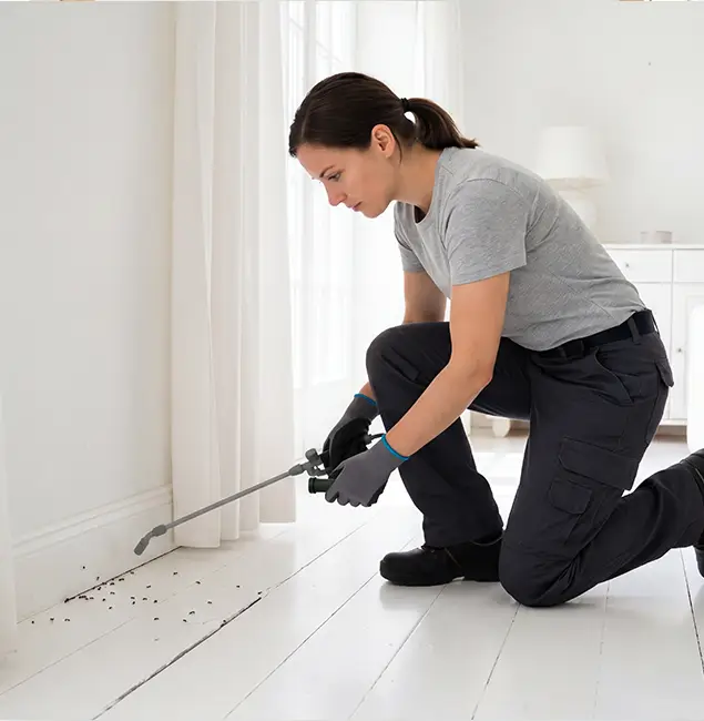 Why Wayne, NJ Property Owners Trust Wayne Pest Control Pro for Fire Ant Control?