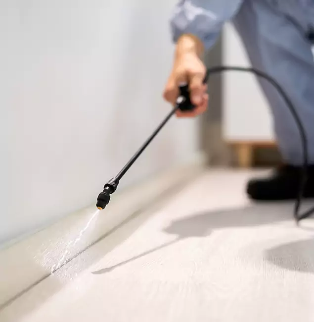 Why Choose Wayne Pest Control Pro for Termite Treatment in Wayne, NJ?