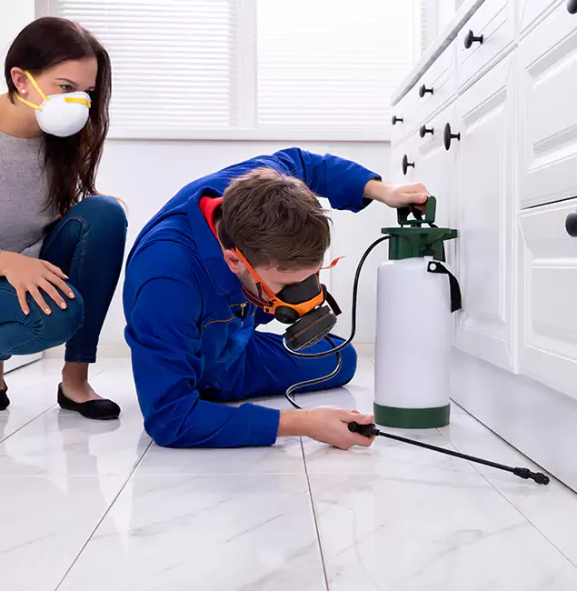 Why Wayne, NJ Homeowners Trust Wayne Pest Control Pro for Roach Control?
