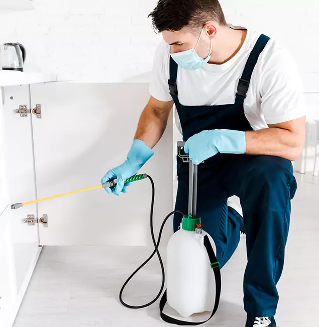 Why Choose Wayne Pest Control Pro for Indoor Pest Control in Wayne, NJ?