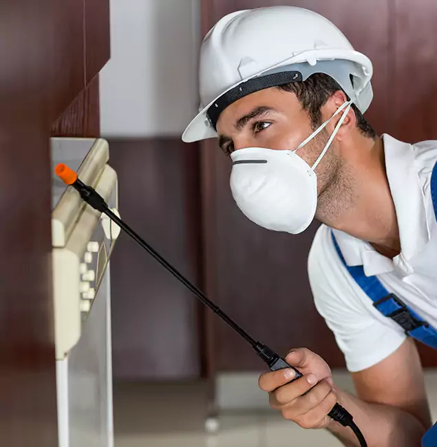 Why Wayne Homeowners Rely on Wayne Pest Control Pro for Tick Treatment?