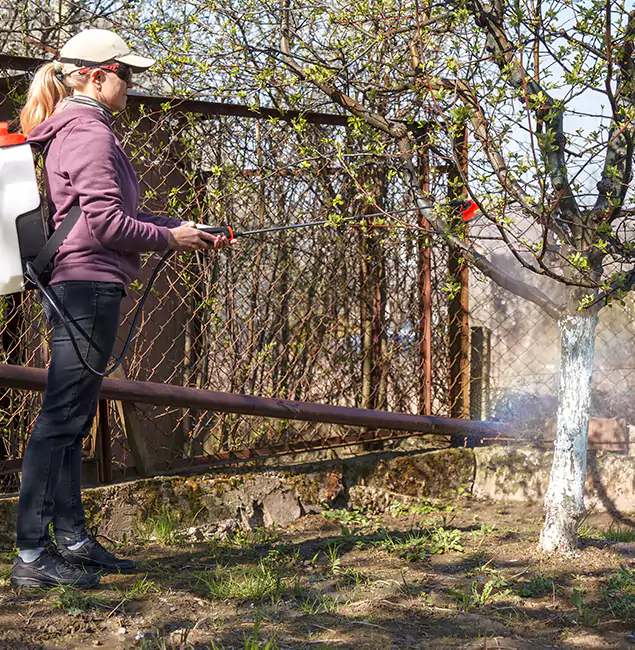 Why Wayne Homeowners Choose Wayne Pest Control Pro for Mosquito Abatement?