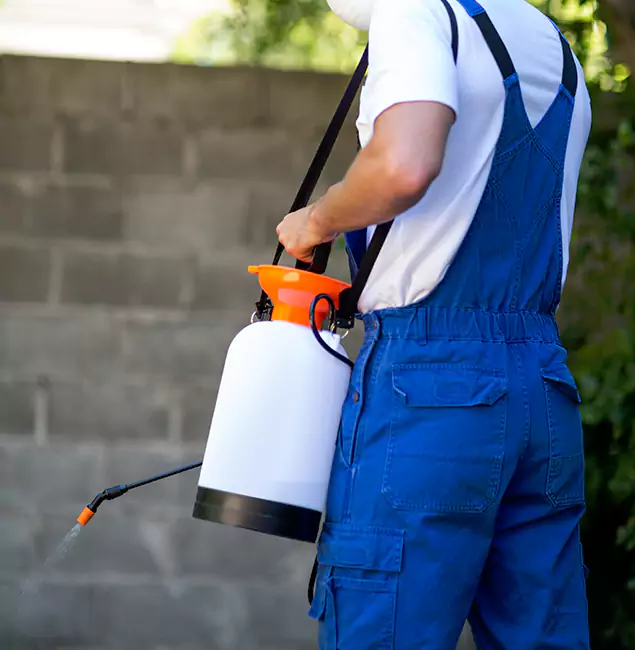 Why Wayne Homeowners Rely on Wayne Pest Control Pro for Mosquito Control?