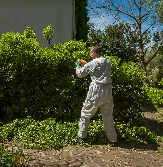 Why Wayne Pest Control Pro Leads Mosquito Control in Wayne, NJ?