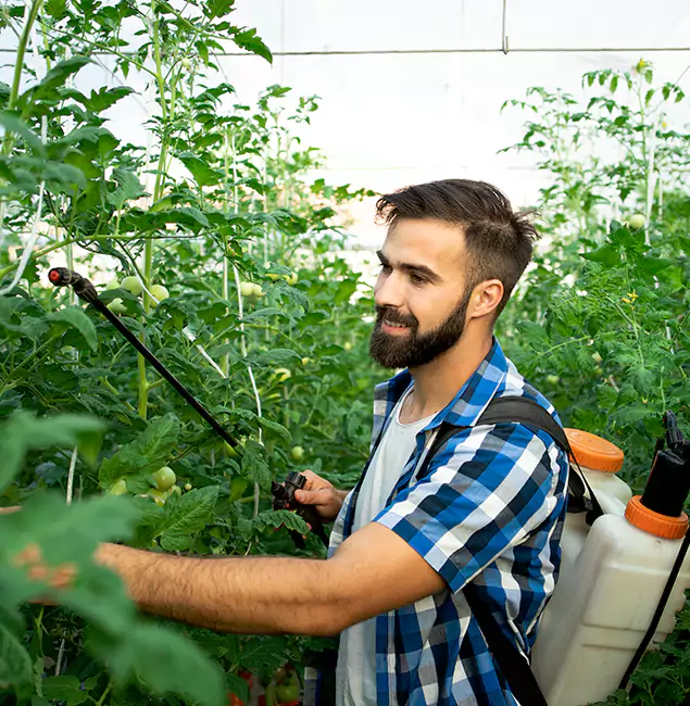 Why Wayne Homeowners Choose Wayne Pest Control Pro for Mosquito Spraying?
