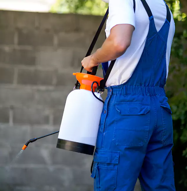 Why Wayne Pest Control Pro Delivers the Best Mosquito Control in Wayne, NJ?