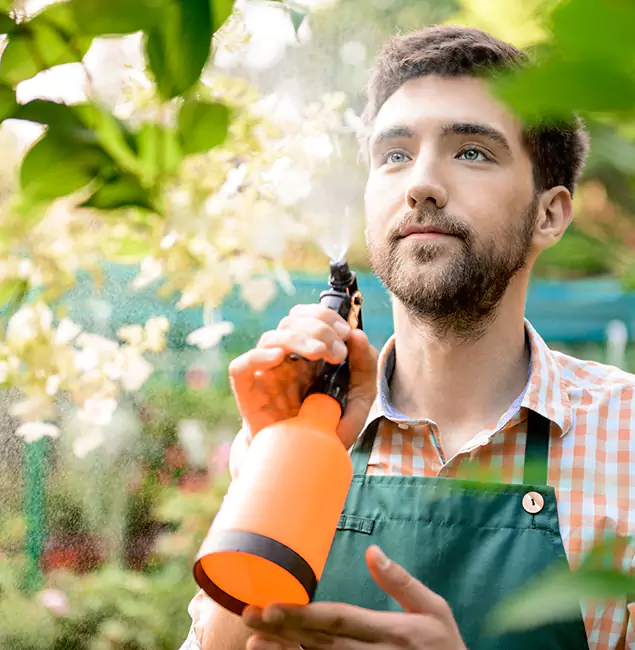 Why Wayne Homeowners Call Wayne Pest Control Pro for Mosquitoes in House?