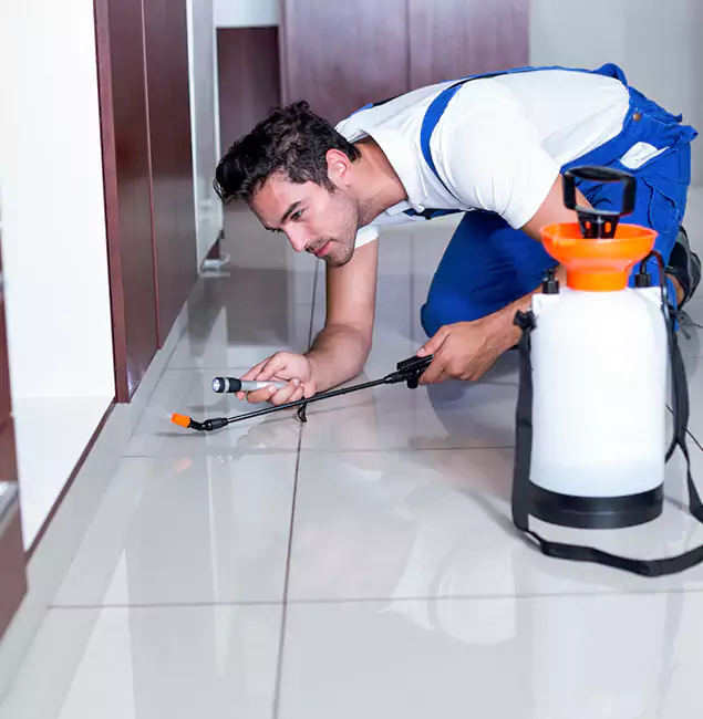 Why Wayne Pest Control Pro Is the Proven Choice in Wayne, NJ?