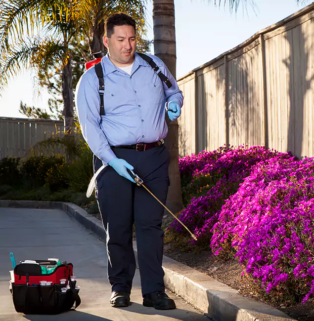 Why Choose Wayne Pest Control Pro in Wayne, NJ?