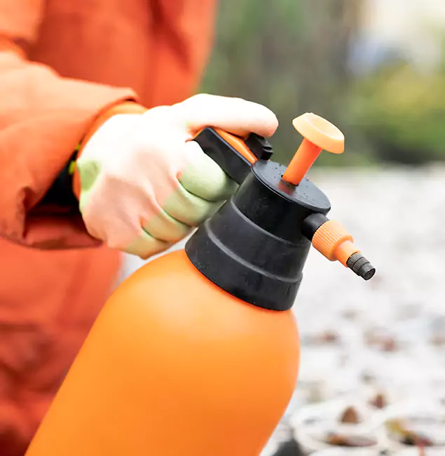 Why Choose Wayne Pest Control Pro for Orange Termite Treatment in Wayne, NJ?