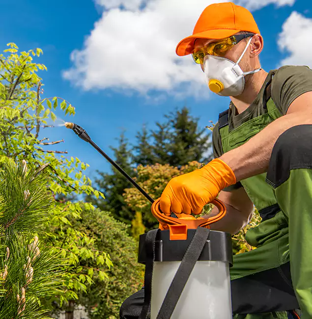 Why Choose Wayne Pest Control Pro for Outdoor Pest Control in Wayne, NJ?
