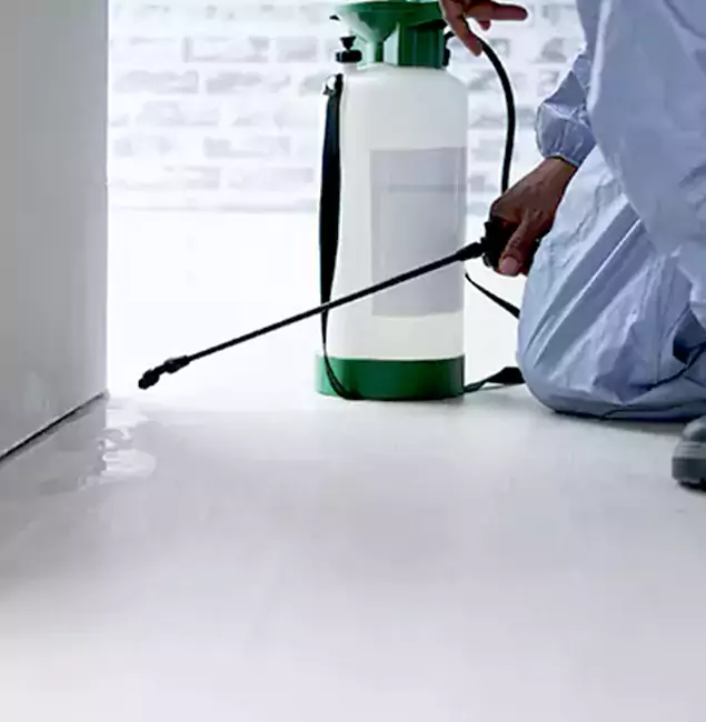 Why Choose Wayne Pest Control Pro for Rat Exterminator in Wayne, NJ?