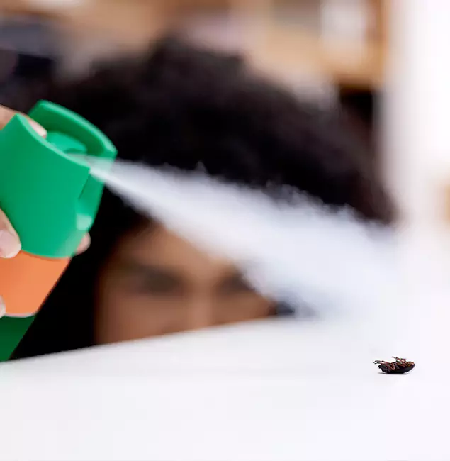 Why Wayne, NJ Homeowners Choose Wayne Pest Control Pro for Roach Pest Control?