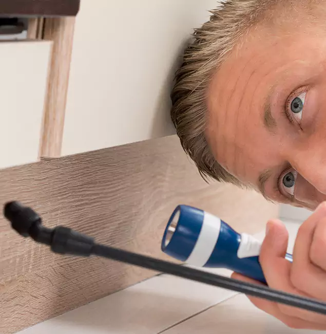 Why Choose Wayne Pest Control Pro for Rodent Exterminator in Wayne, NJ?